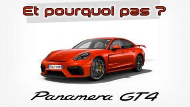Porsche Panamera GT4 by PDLV