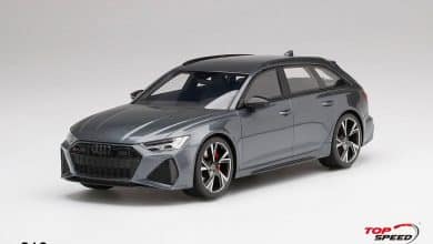 1/18 Audi RS 6 TopSpeed