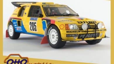 1/18 Peugeot 205 T16 Grand Raid