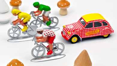 1/64 Citroën 2CV Cochonou Norev 318993