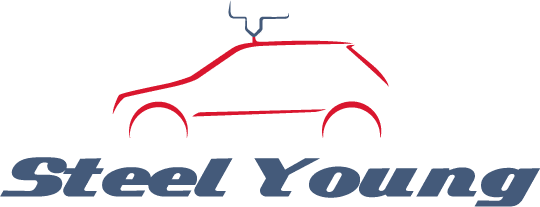 Logo Steel Young