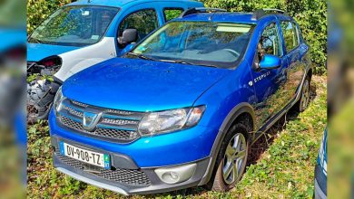 Dacia Sandero Stepway voiture radar
