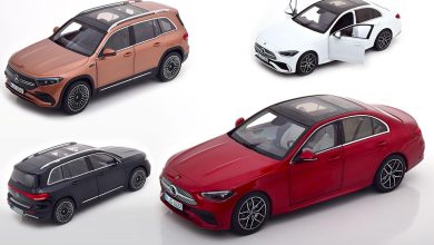 1/18 Mercedes NZG 2022