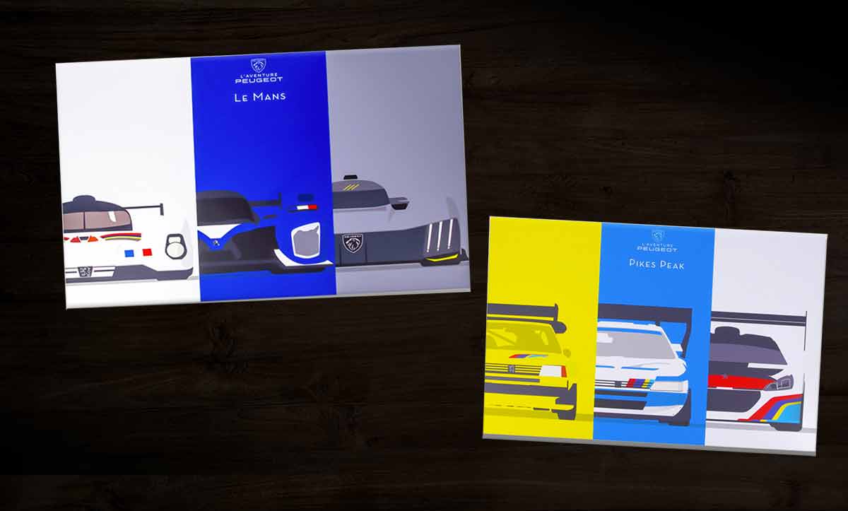 Cadre Peugeot L'Aventure