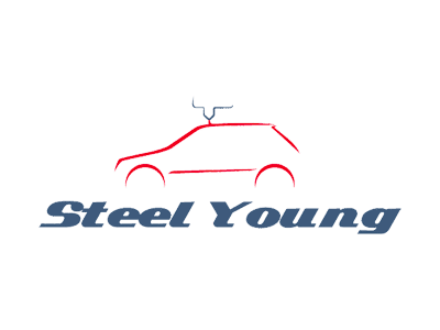 Steel Young