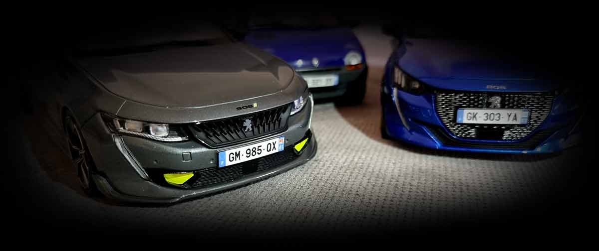 Plaque d'immatriculation personnalisée 1/18