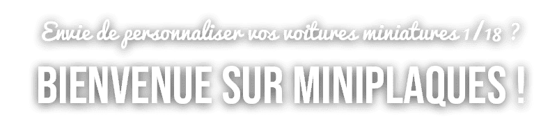 Mini Plaques plaques d'immatriculation personnalisées échelle 1/18