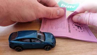 Permis de conduire rose