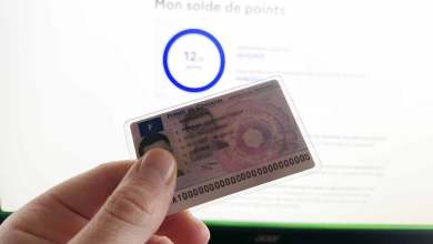 Consulter solde permis de points