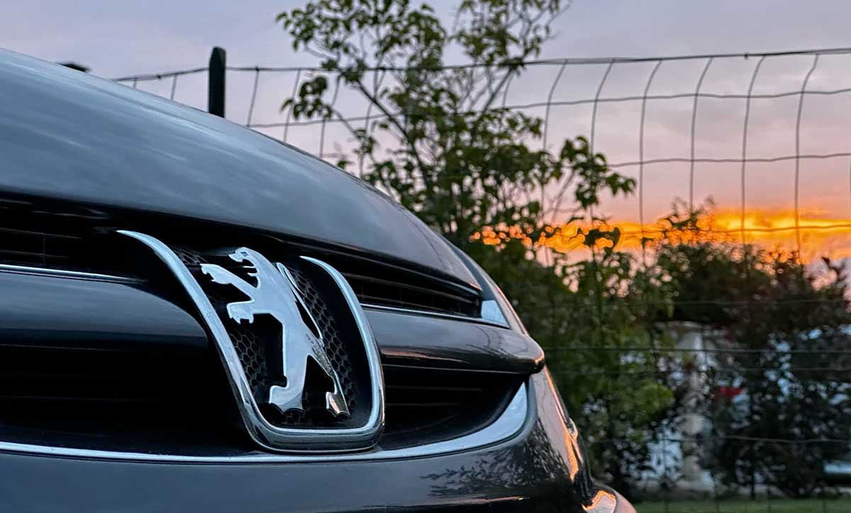 Calandre de Peugeot 607 au coucher de soleil