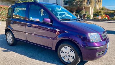 Fiat Panda Mamy à vendre
