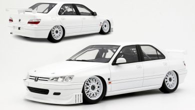 Peugeot 406 Khyzyl Saleem