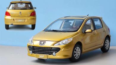 Peugeot 307 berline de Paudi à l'échelle 1/18
